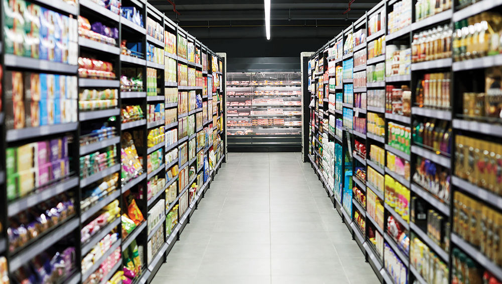 Diet, Energy Expenditure and Obesity: Insights for Health and Exercise Professionals